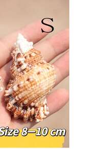 Large Conch Shell, Gold Conch, Large Frog Conch, Stone Number Conch, White Coral, Starfish Decor (Can Be Blown) Fish Tank Landscape Home Decor Ornament, Aquarium Decoration, Living Room Decor Ornament - Multicolor - View 13