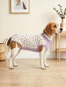 Pakaian Pemulihan Pasca Operasi untuk Anjing Betina, Cocok untuk Perawatan Pasca Operasi Anjing, Mencegah Hewan Peliharaan Menjilat Luka, - Mauve Purple - View 8