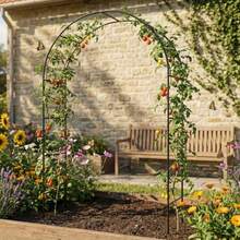 Pergolas - Multicolor - View 5