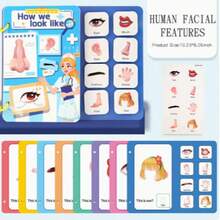 1pc Reusable Interactive Children Learning Cognitive Busy Book With Animal And Letter Matching Stickers, Enhances Hands-On Ability And Development, Teacher Supplies. Montessori Toys. Best Gift For Kids. - 彩色 - 查看 15