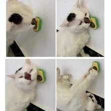 Rotatable Healthy Wall Ball With Natural Catnip, For Cleaning Cat Teeth, Can Be Used As Toy And Cat Scratching Accessory - Green - View 9