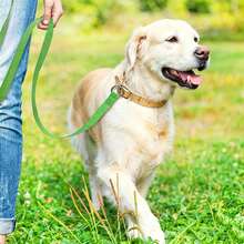 Sturdy Wear-Resistant Nylon Dog Long Tracking Leash, Anti-Winding Pet Training Traction Rope With Reinforced Metal Ring, Lightweight Outdoor Walking Hiking Lead, Suitable For Small Medium Large Dogs, Multi Color Selection - Multicolor - View 3