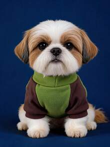 PETCIRCLE 1件寵物衣服 小狗幼犬適用 可愛防風保暖 簡約百搭 柔軟親膚 咖啡色條紋愛心圓領毛衣 - 綠色 - 彩色 - 查看 3