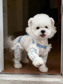 1pc Blue Plaid Dog Leg Sleeve, Protects Dog Legs From Mud And Dirt, Anti- And Anti-Tick, Strap Design Prevents Slipping, Suitable For Cats And Small Dogs, Fashionable And Exquisite, Applicable For Home, Travel, Walking And Pet Parties - Multicolor - View 4