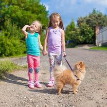 Sturdy Wear-Resistant Nylon Dog Long Tracking Leash, Anti-Winding Pet Training Traction Rope With Reinforced Metal Ring, Lightweight Outdoor Walking Hiking Lead, Suitable For Small Medium Large Dogs, Multi Color Selection - Multicolor - View 9