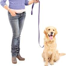 Sturdy Wear-Resistant Nylon Dog Long Tracking Leash, Anti-Winding Pet Training Traction Rope With Reinforced Metal Ring, Lightweight Outdoor Walking Hiking Lead, Suitable For Small Medium Large Dogs, Multi Color Selection - Multicolor - View 2