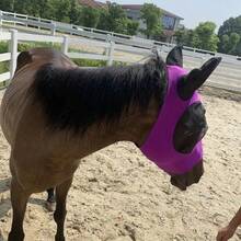 馬臉防護面罩 透氣頭套 騎馬用品 彈性馬面罩 防蚊防蟲 馬具 - 彩色 - 查看 3