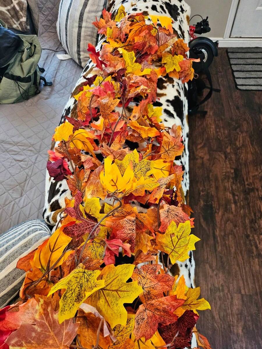 1pc Autumn Maple Leaf Wreath, Artificial Autumn Leaf Garland, Suitable For Thanksgiving, Home, Wedding, Fireplace, Party, Halloween Decoration, Christmas Decoration - Autumn Colors - View 1