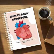DANPERJI 1pc A5 Visual Anatomy Practice Book For Students And Artists - Human Body Structure Guide, Including Systems, Muscles, Organs And Bones, For Medical Study And Art Practice - Colorful - View 4