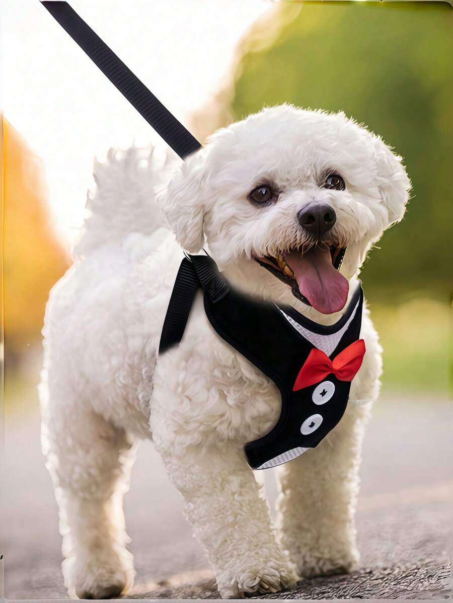 Pet Harness And Leash, Suitable For Small And Medium-Sized Dogs Walking, Teddy Dog Chain, Dog Lead, Rope, Pet Supplies, Dog-Related Products - Black - View 1