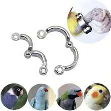 Soft Elastic Bird Flying Training Leash With Anti-Lost Foot Ring, Adjustable Lightweight Parrot Harness Rope With Coil Wrist Band, Outdoor Training Walking Lead For Small Medium Birds Cockatiel Budgie Conure - 1pc Training Hoop - View 2
