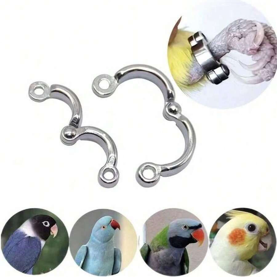 Soft Elastic Bird Flying Training Leash With Anti-Lost Foot Ring, Adjustable Lightweight Parrot Harness Rope With Coil Wrist Band, Outdoor Training Walking Lead For Small Medium Birds Cockatiel Budgie Conure
