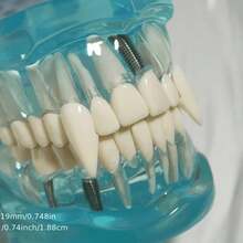 5pcs Set Includes (2 Large Fangs + 2 Small Fangs + Accessories) Halloween Vampire Fangs - Realistic Sharp White Resin Fangs, Suitable For Halloween Costumes, Zombies, Demons, Gothic Parties - All-Year Wearable Women's Vampire False Teeth Props, Simple Design, Exquisite Craftsmanship, Horror Role Play Accessories, Durable Material, Essential For Role Play Enthusiasts - one-size - View 7