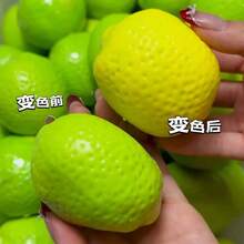 Nuova palla antistress in silicone morbido fatta a mano a forma di mango croccante, che cambia colore, giocattolo sensoriale ASMR per la decompressione - Multicolore - Visualizzare 7