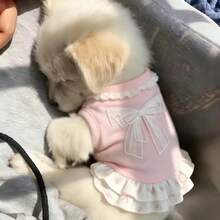 1 Stück Haustierkleidung, Haustierkleid, Frühling/Sommer dünnes atmungsaktives romantisches Prinzessinnen-Stil Tutu-Kleid, kühle Kleidung, Anti-Haarverlust-Kleid, glücklicher Welpe, Kleidung, Hundoutfit, Katzenkleidung, Katzenoutfit, Katzenkleid, Prinzessinnenkleid, Chihuahua Hundekleidung, kleines Hundekleid, Chihuahua Kleid, süße Welpenkleidung, Teddy Bichon Yorkshire Outfit, süße Hundeweste, geeignet für kleine und mittlere Katzen und Hunde - Pink - Übersicht 10