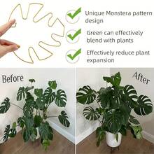 3件組綠色植物莖部支撐架,適用於龜背葉,獨特夾持設計,穩定室內植物,鐵製,適合攀爬常春藤,玳瑁竹紋設計 - 支撐架 - 查看 6