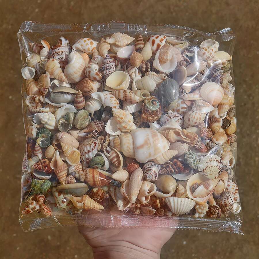 Colorful Mini Shell & Sand Mix - 50/100g/200g/500g Bags, 12 Unique Styles, Suitable For DIY Crafts, Scrapbooking, Message In A Bottle And Aquarium Decoration Gifts, Birthday & Graduation Presents