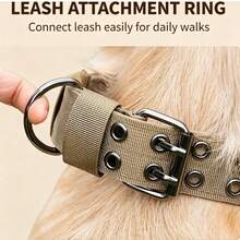 1pc Adjustable No-Pull Dog Head Collar, Durable Training Halter With Soft Padding For Medium & Large Dogs - Multicolor - View 5