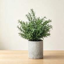 1pc 2D Flat Printed Acrylic Simulated Mini Rosemary Desktop Decor, Eucalyptus Potted Plant Suitable For Living Room, Desk, Kitchen Gift, Yard Decoration - Army Green - View 3