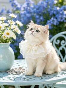 Kalung Hewan Peliharaan Jala Berwarna Putih Lembut dengan Hiasan Emas, Rantai Mutiara dengan Pita Renda, Ringan dan Bernapas, Desain Gaya Putri, Cocok untuk Kucing British Shorthair, Ragdoll, dan Anak Anjing Kecil, Sempurna untuk Ulang Tahun, Pemotretan, Kalung Dekoratif Hewan Peliharaan yang Indah - MultiWarna - View 8