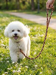 柔軟舒適耐用尼龍三色編織時尚寵物牽繩，適用於比熊犬、泰迪犬及其他小型犬種，可用於遛狗與遛貓 - 彩色 - 查看 3