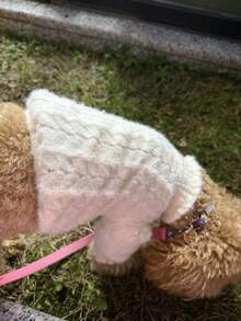 Mock Neck Puff Sleeve Pet Knit Top, Hollow‑Out Cable Knit Dog Sweater, Ruffled Cuff Fashion Apparel For Small Dogs - White - View 3