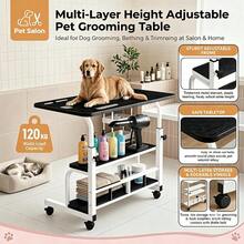 Pet Grooming - View 12