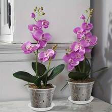 5pcs/4pcs/3pcs Transparent Orchid Pots With Base, 3"/4"/5"/6"/7" Plastic Multi-Size Flower Pots, Modern Plant Growing Pots, Premium Weatherproof Outdoor Rooting & Seedling Cultivation Pots, Includes Gardening Accessories, Suitable For Professional Gardening Tools, Drainage Hole Breathable Slotted Clear Plastic Orchid Planters For Indoor/Outdoor Plants And Orchids - A - View 6