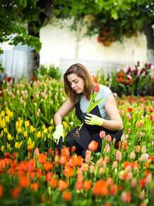 1/2/3/4pcs Manual Weeding Rake, Multi-Functional Gardening Tool, Can Be Used To Remove Weeds And Moss From Lawn Gaps, Upgraded Galvanized Handle, Metal Weeding Tool, Suitable For Spring Weeding - A - View 3
