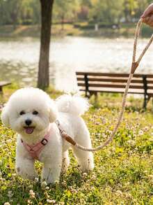 柔軟舒適耐用尼龍三色編織時尚寵物牽繩，適用於比熊犬、泰迪犬及其他小型犬，可用於狗狗和貓咪散步 - 彩色 - 查看 5