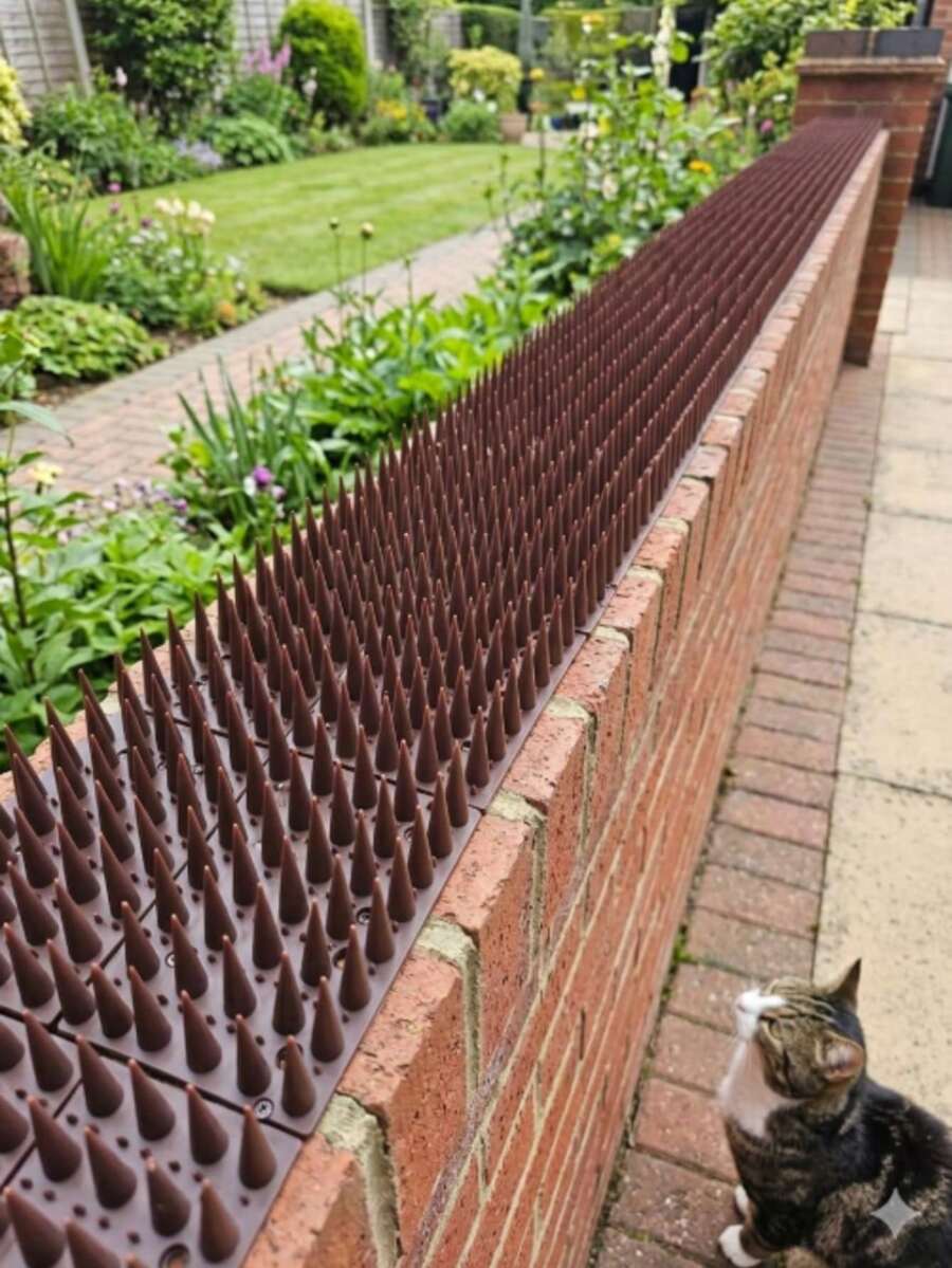 Bird Spikes, 24 Pack 43 Cm Pigeon Deterrent For Small Birds Raccoon Cats Defender For Outside To Keep Squirrel Away, Plastic Fence Spikes Covers 10M - View 1