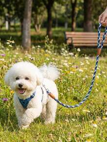 柔軟舒適耐用尼龍三色編織時尚寵物牽繩，適用於比熊犬、泰迪犬及其他小型犬品種，可用於狗狗與貓咪散步 - 彩色 - 查看 5