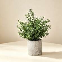 1pc 2D Flat Printed Acrylic Simulated Mini Rosemary Desktop Decor, Eucalyptus Potted Plant Suitable For Living Room, Desk, Kitchen Gift, Yard Decoration - Army Green - View 2