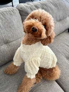 Mock Neck Puff Sleeve Pet Knit Top, Hollow‑Out Cable Knit Dog Sweater, Ruffled Cuff Fashion Apparel For Small Dogs - White - View 4