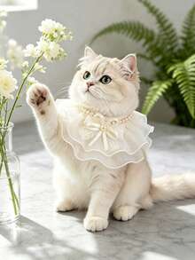 Kalung Hewan Peliharaan Jala Berwarna Putih Lembut dengan Hiasan Emas, Rantai Mutiara dengan Pita Renda, Ringan dan Bernapas, Desain Gaya Putri, Cocok untuk Kucing British Shorthair, Ragdoll, dan Anak Anjing Kecil, Sempurna untuk Ulang Tahun, Pemotretan, Kalung Dekoratif Hewan Peliharaan yang Indah - MultiWarna - View 6