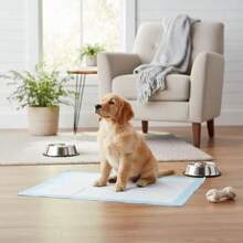 Disposable Pet Pads - Super Absorbent Puppy Training Pads, Suitable For Dogs, Cats, Rabbits, Guinea Pigs, Other Small Animals' Potty Training Pee Pads Quick-Drying Multi-Pack Disposable Pet Pads - 60*90cm - View 9