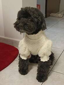 Mock Neck Puff Sleeve Pet Knit Top, Hollow‑Out Cable Knit Dog Sweater, Ruffled Cuff Fashion Apparel For Small Dogs - White - View 5