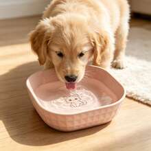 1pc Colorful Plastic Cat Bowl - Wide Mouth Design Helps Prevent Cat Chin Acne And Keeps Feeding Area Clean; Suitable For Dry Food, Wet Food And Water; Easy To Clean, Pet Feeding Supplies - 300ml - View 6