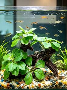 1件魚缸漂流木裝飾，人造水生植物水族用品，樹脂魚缸裝飾模擬漂流木，鬥魚配件，魚缸裝飾，魚缸配件，適用於鬥魚、生態缸、爬行動物躲藏洞穴，萬聖節、聖誕節、感恩節魚缸裝飾禮物 - 歡樂水族 - 查看 4