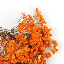 25/52/102/298pcs Artificial White Mini Dried Baby's Breath Flowers, Ivory Floral, Suitable For Vase, Wedding, Home, Office, Party, Garden, Greeting Card Making Decoration, DIY Decoration - Orange - View 5