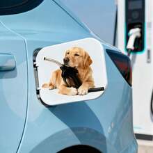 1张马尔济斯犬叼着加油泵吐舌头的PVC汽车贴纸，适用于汽车、水瓶、笔记本电脑、窗户、浴室等。 - 裝飾貼紙 - 查看 10