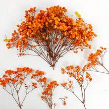 25/52/102/298pcs Artificial White Mini Dried Baby's Breath Flowers, Ivory Floral, Suitable For Vase, Wedding, Home, Office, Party, Garden, Greeting Card Making Decoration, DIY Decoration - Orange - View 3