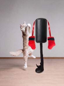 1pc Cat Boxing Target Ball And Silent Wool Prey Ball, Indoor Living Room Play And Bedroom Relaxation Entertainment, Suitable For Kittens And Adult Cats, Fun Training To Help Pets Release Energy, Popular Hot-Selling Pet Toy - Multicolor - View 2