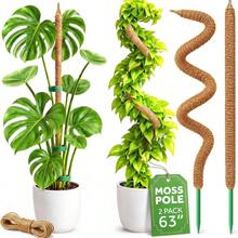 2入 63吋可彎曲苔蘚柱 龜背竹植物支撐桿 大型室內攀爬植物用盆栽攀爬支架 高桿室內植物格架 龜背竹盆栽配件 - 愛 - 查看 2