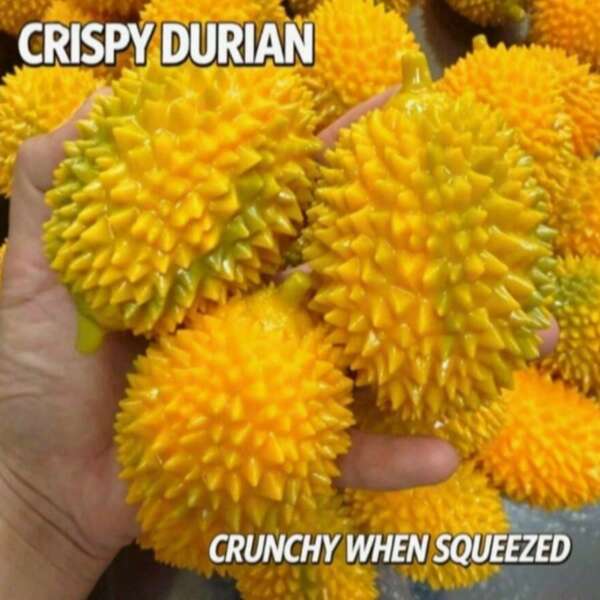 Crispy Durian Squeeze Toy, Granular Textured Squeeze Toy With Crisp Sound, Fun Stress Relief Toy #Durian Squeeze Toy #Crisp Sound Toy #Granular Texture #Squeeze Toy #Stress Relief #Stress Relief Toy #Realistic Fruit Toy #Fidget Toy #Novelty Toy