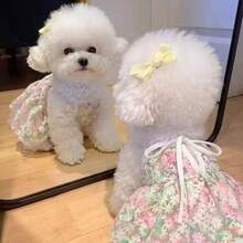 1件夏季櫻花細肩帶洋裝，可愛公主風，透氣且抗起球，適合小型犬與貓咪的寵物服飾 - 青碧色 - 查看 6