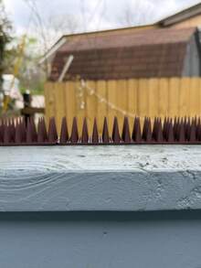Bird Spikes, 24 Pack 43 Cm Pigeon Deterrent For Small Birds Raccoon Cats Defender For Outside To Keep Squirrel Away, Plastic Fence Spikes Covers 10M - View 2