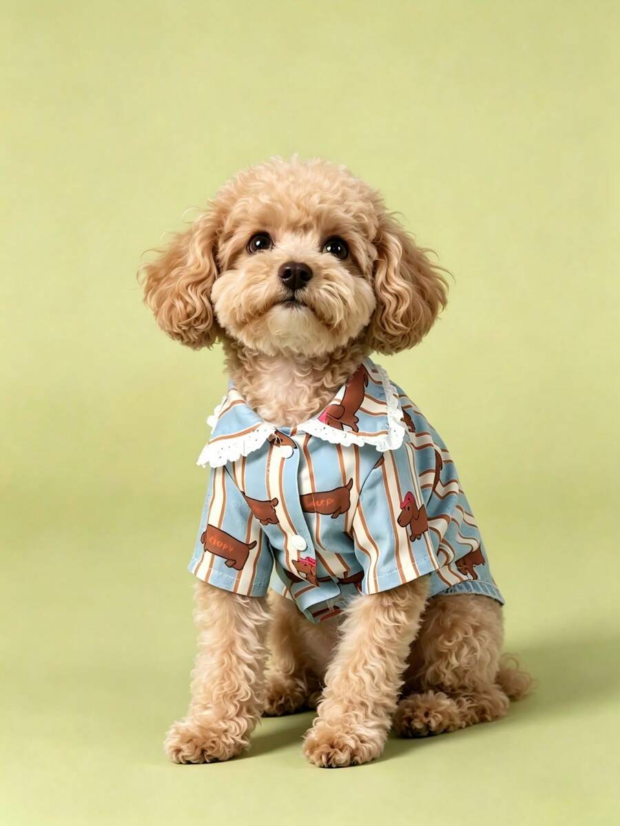 1pc Striped Lace Dog Pajamas, Cute Casual Fashion Pet Shirt With Buttons, Suitable For Small And Medium Dogs And Cats For Indoor And Outdoor Wear - Blue and White - View 1