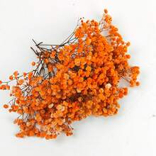 25/52/102/298pcs Artificial White Mini Dried Baby's Breath Flowers, Ivory Floral, Suitable For Vase, Wedding, Home, Office, Party, Garden, Greeting Card Making Decoration, DIY Decoration - Orange - View 8