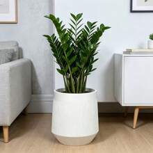 1pc Extra Large Thickened Planter, Large Indoor/Outdoor Plant Container, Vertical Striped Split-Type Resin Flower Pot With Tray, 3D Vertical Striped Design, Sturdy Elevated Structure, Round, Minimalist Elegant - White - View 5